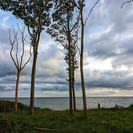 Vakantiehuis 5 Person In Karrebaeksminde-by Traum Karrebæksminde